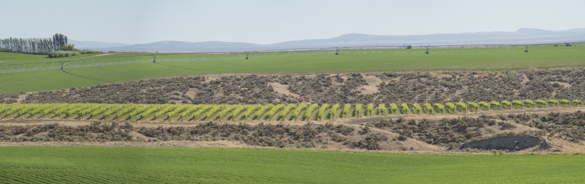 Stewardship Mercer FarmsMercer Farms