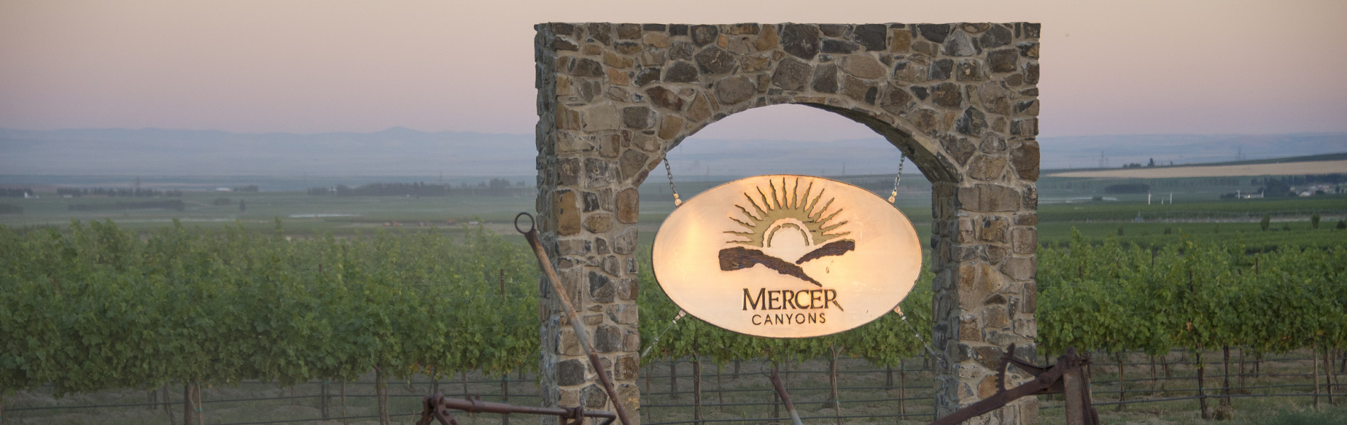 Row Crops Mercer FarmsMercer Farms